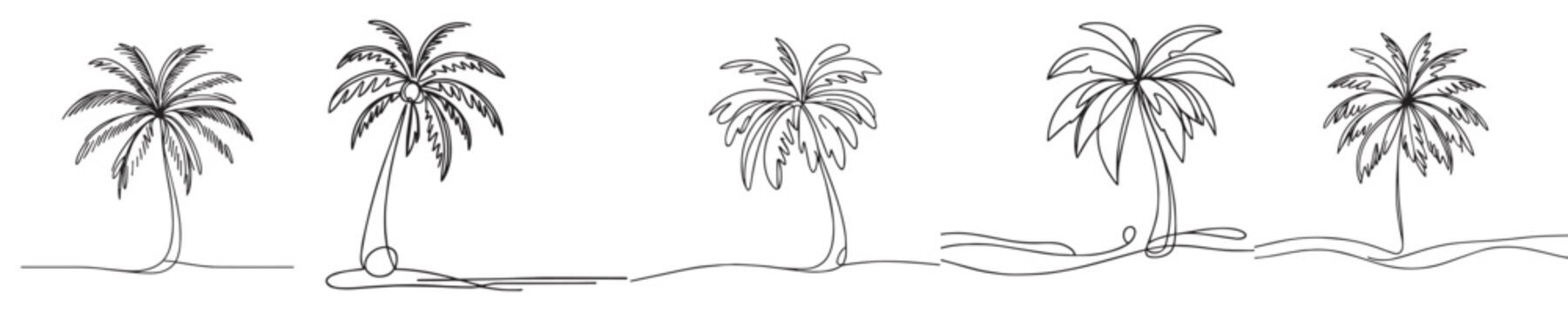 coconut tree vector continuous line style