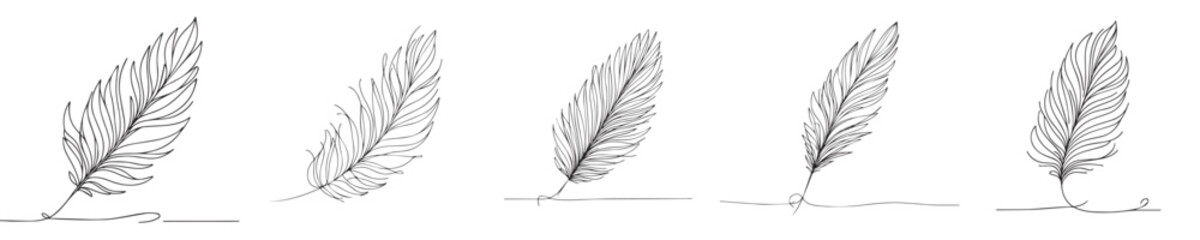 goose feather vector continuous line style