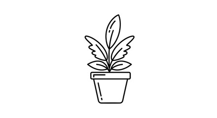 Simple line drawing of a potted plant