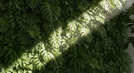 Lush green leaves with sunlight filtering through the foliage