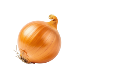 A close-up of a perfect yellow onion, golden-brown skin and clean root base, on a pristine transparent studio background with copy space. Concept of fresh natural ingredients.