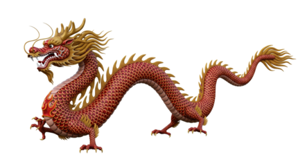 Asian dragon isolated on white