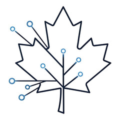 Detailed blue line maple leaf illustration isolated on white background for canada technology, data and innovation themes