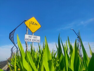 A yellow warning sign indicating strong wind conditions stands above tall green plants against a...