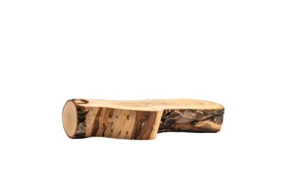 A cut wood slice on black. Reveals rings and bark, showcasing natural textures and warm earth tones. Side-on perspective with a clean cutout