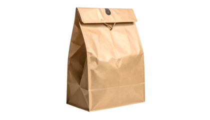A standing brown paper bag, closed at the top with a fold-over flap and a button closure, against a black backdrop