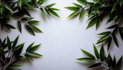 White Background with Bamboo Leaves and Copy Space.