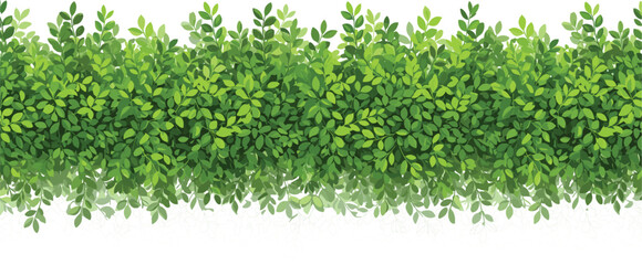 Green leafy hedge border vector illustration seamless foliage background isolated on white for garden design