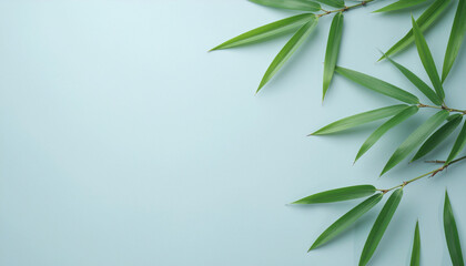 White Background with Bamboo Leaves and Copy Space.