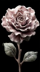 Detailed Rose Flower with Textured Petals and Leaves on a Black Background, Soft Lighting, Macro Photography, Elegant Aesthetic, Neutral Color Palette, Studio Shot
