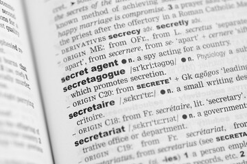 Dictionary page with secret agent and spy words, book closeup
