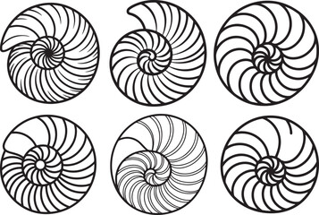 Set of Nautilus Shell Spiral Pattern Line Art Coloring Book Page Outline Vector Illustration