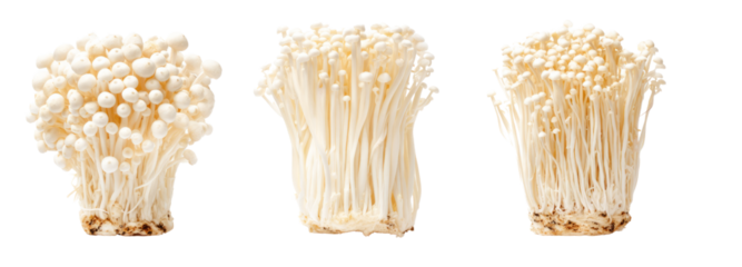 Fresh enoki mushrooms kitchen transparent background white isolated shot culinary ingredient