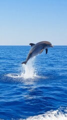 Fototapeta premium dolphin. Dolphin leaping from ocean water, splash in mid-air, natural sunlight. wildlife magazines, conservation campaigns, designed for nature documentaries and education. 