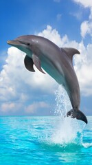 Obraz premium dolphin. Dolphin leaping from ocean water, splash in mid-air, natural sunlight. wildlife magazines, conservation campaigns, designed for nature documentaries and education. 