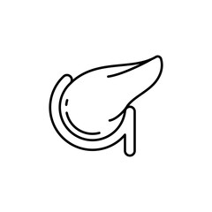 Suitable for medical presentations, educational materials, and sciencerelated designs. Illustration shows detailed structure of human pancreas. Useful for medical illustrations.