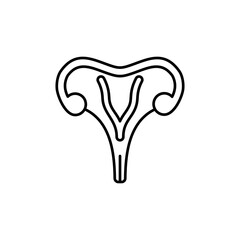 Simple line drawing of uterus and fallopian tubes, perfect for medical and educational graphics related to female reproductive system.