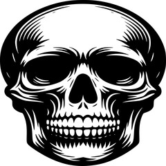 Fototapeta premium Memento Mori: A detailed black and white illustration of a human skull, embodying themes of mortality, the passage of time, and the ephemeral nature of existence.