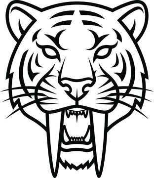 Stylized black and white line art illustration depicting the fierce front face of a snarling saber toothed tiger mascot head showing large fangs and tribal stripes