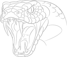 Detailed black and white line art drawing illustrating the aggressive head of a venomous viper snake ready to strike with open jaws and prominent fangs.