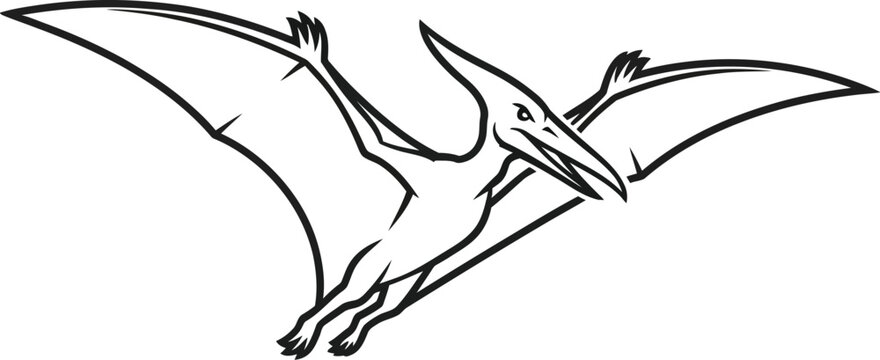 Stylized black and white line art illustration depicts a prehistoric pterodactyl creature soaring dynamically across a blank background ready for logo design applications.