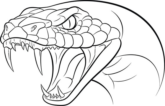 Fierce black and white line art drawing illustrating a dangerous viper snake head wide open ready to strike with prominent fangs and detailed scales