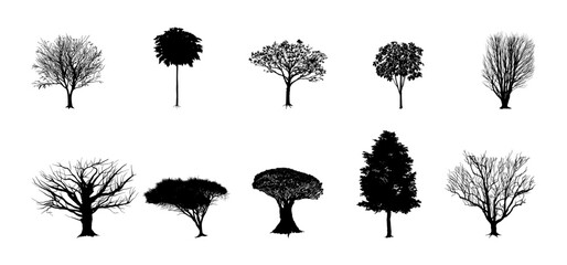 Fototapeta premium Tree Silhouette Vector Illustration, Black Tree Icon Isolated, Nature Forest Plant Silhouette Design