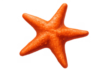 Vibrant orange starfish displaying radial symmetry, marine life symbol, summer beach and ocean concept on transparent background