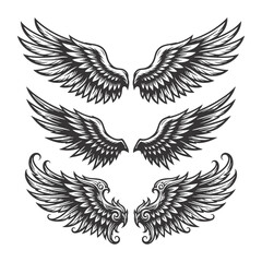 Obraz premium Three Sets of Detailed Decorative Feathered Wings Vector Illustration Collection