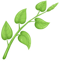 green leaves, branch tree