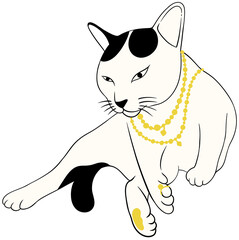 white cat wearing gold jewelry