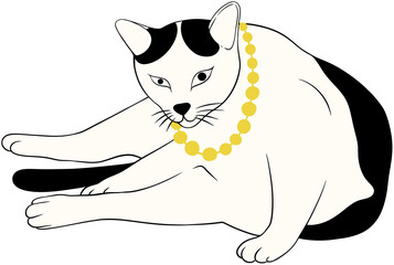 white cat wearing gold jewelry