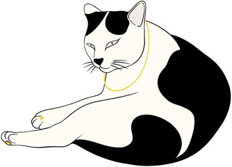 white cat wearing gold jewelry