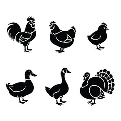 Obraz premium Collection of poultry birds silhouette Vector, illustration
