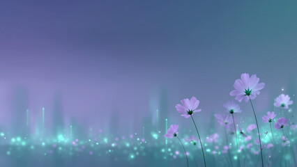 Fototapeta premium Purple cosmos field in misty morning light background