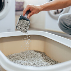 Close-Up of Hand Refilling Cat Litter Box. Morning Wellness Routine with Pets. A person's hand pouring clean litter from an scoop/bag into a empty litter box symbolizing the start of day pet hygiene.
