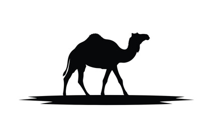 A striking black camel form walking across a white background silhouette © DELRUBA