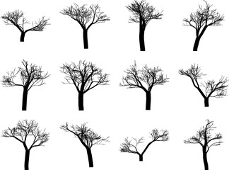 Hand Drawn Bare Tree Silhouette Collection Black Leafless Nature Illustration