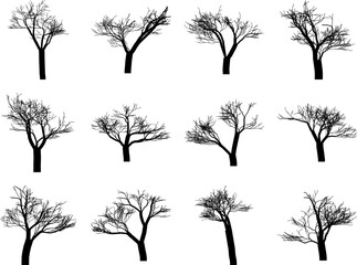Collection of Detailed Bare Tree Silhouettes Isolated on White Background, Leafless Winter Forest Branch Clipart Set for Graphic Design Projects