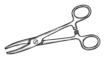 Professional stainless steel medical clamp instrument with serrated jaws for secure gripping during delicate surgical procedures and for various first aid or laboratory uses in healthcare