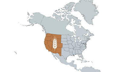 Obraz premium North American wheat belt map showcasing essential agricultural areas and grain cultivation regions for continental food security and global