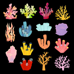 Types of corals