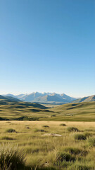 Open Plateau Landscape