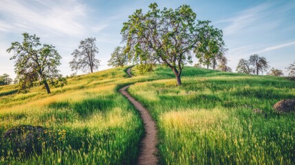 tranquil countryside setting with a winding trail lush greenery rolling hills and a clear blue sky bathed in the golden glow of the setting sun