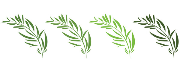Rosemary twig and leaves icon set, green rosemary leaves icon vector in trendy flat style illustration isolated on white background.