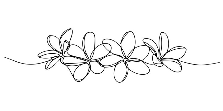 Flower continuous line art drawing. Plumeria one line symbol. Frangipani blossom. Vector illustration isolated on white, Plumeria flowers in continuous line art drawing style. Minimalist black line.