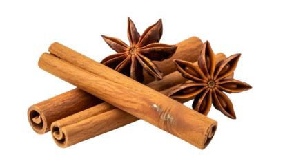 Cinnamon sticks and star anise on black background