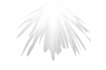 Abstract white light bursting outwards, forming sharp rays and a luminous sparkle. Energy concept on transparent background