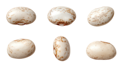 Six speckled, oval beans, white base with beige/brown spots, studio shot