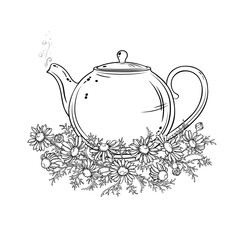 Chamomile Tea in Teapot Outline Illustration.